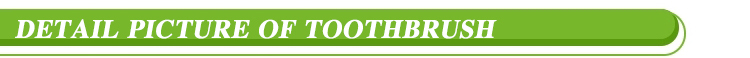 Toothbrush detail